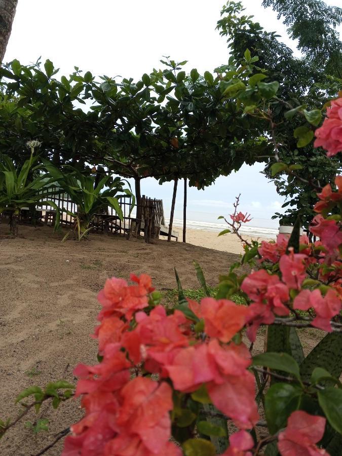 Akoya Beach Park And Cottages Locaroc Esterno foto